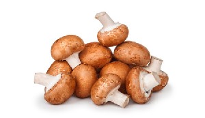 CHAMPIÑON 10.75 €/KG