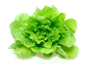 LECHUGA 1.95 €/UD