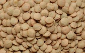 LENTEJA CASTELLANA 3.95 €/KG