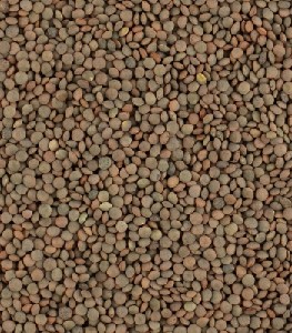 LENTEJA PARDINA 3.95 €/KG