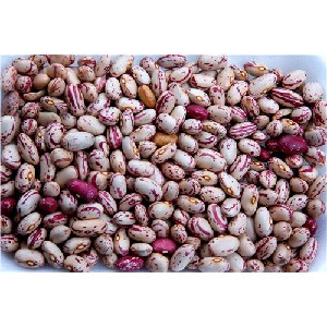 ALUBIA PINTA 7.40 €/KG